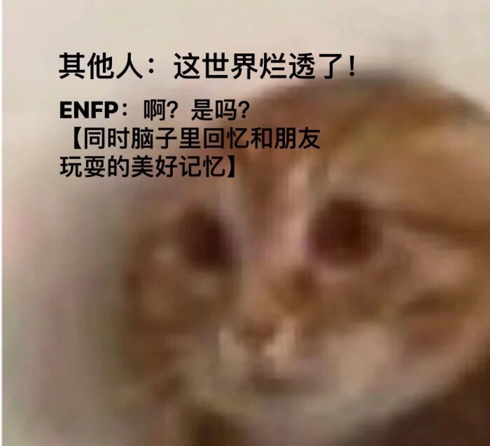 MBTI meme 梗图 ENFP 性格分析 - 堆糖，美图壁纸兴趣社区