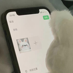 插画 壁纸 动漫 头像 聊天背景