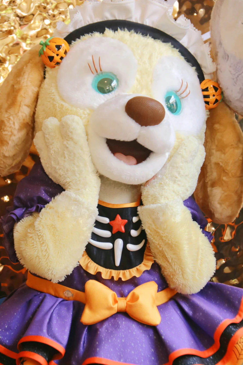 迪士尼可琦安cookieann