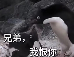 表情包
