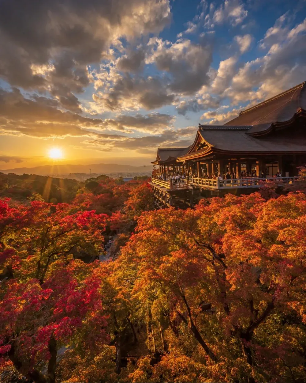糖茶锅 2月25日 关注 日本京都清水寺の秋景色 kiyomizudera temple
