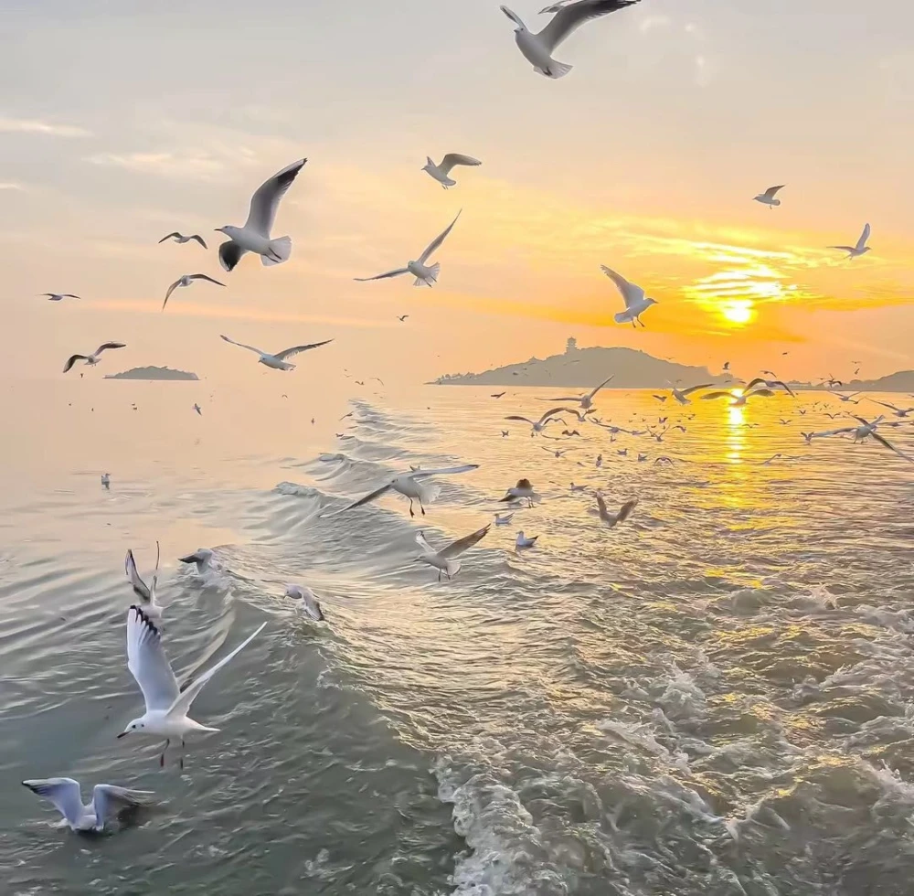 海的背景图