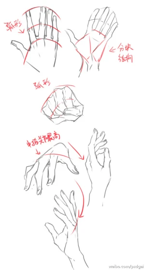 How to Art — Hands reference 4 - cups by Sellenin