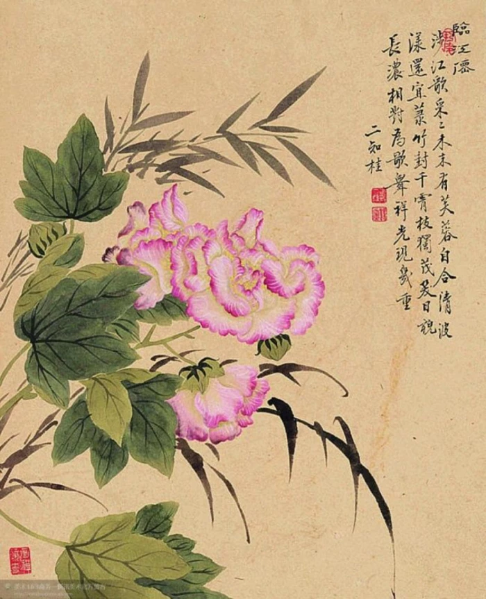 ▽邹一桂恽兰溪《芙蓉竹子图》（花卉八开） - 堆糖，美图壁纸兴趣社区