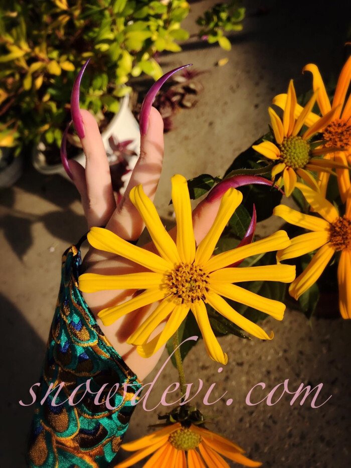 长指甲，long nails，snowdevi，菊 - 堆糖，美图壁纸兴趣社区