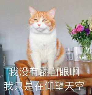搞事情啊