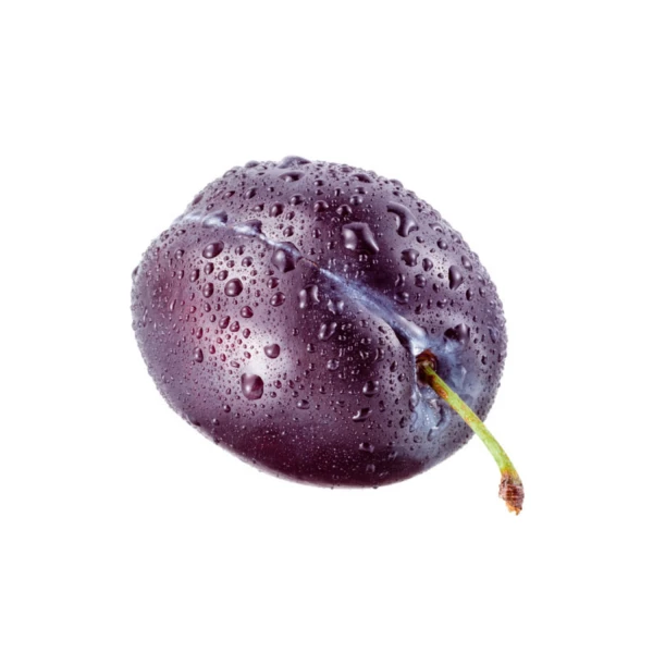 朴尚颖4年前绿光xx#鲜花# #素材#4年前绿光xx关注暂无简介关注0粉丝53