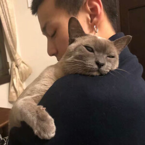 男头像