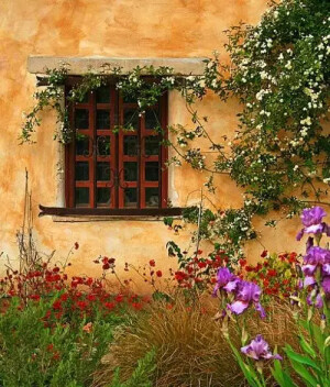 摄影欣赏 建筑 风景 门窗 风景 鲜花