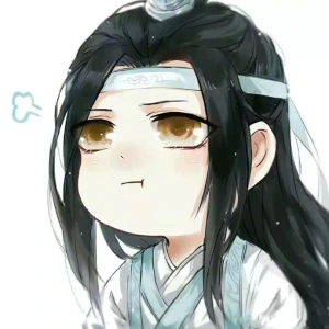 魔道祖师夷陵老祖魏无羡魏婴蓝忘机蓝湛含光君忘羡- 堆糖