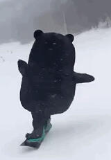 熊本熊滑雪