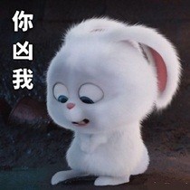 默认专辑