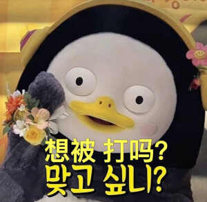 默认专辑