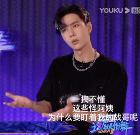 崽崽们动图