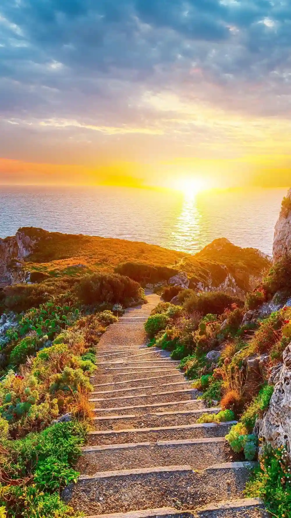 高清图片,堆糖,美图壁纸兴趣社区